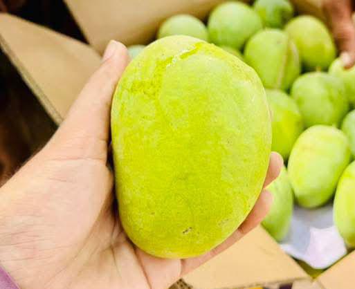 12 No Ratool mangoes — export-quality 12 No Ratool from Thaheem Fruit Farms, Multan