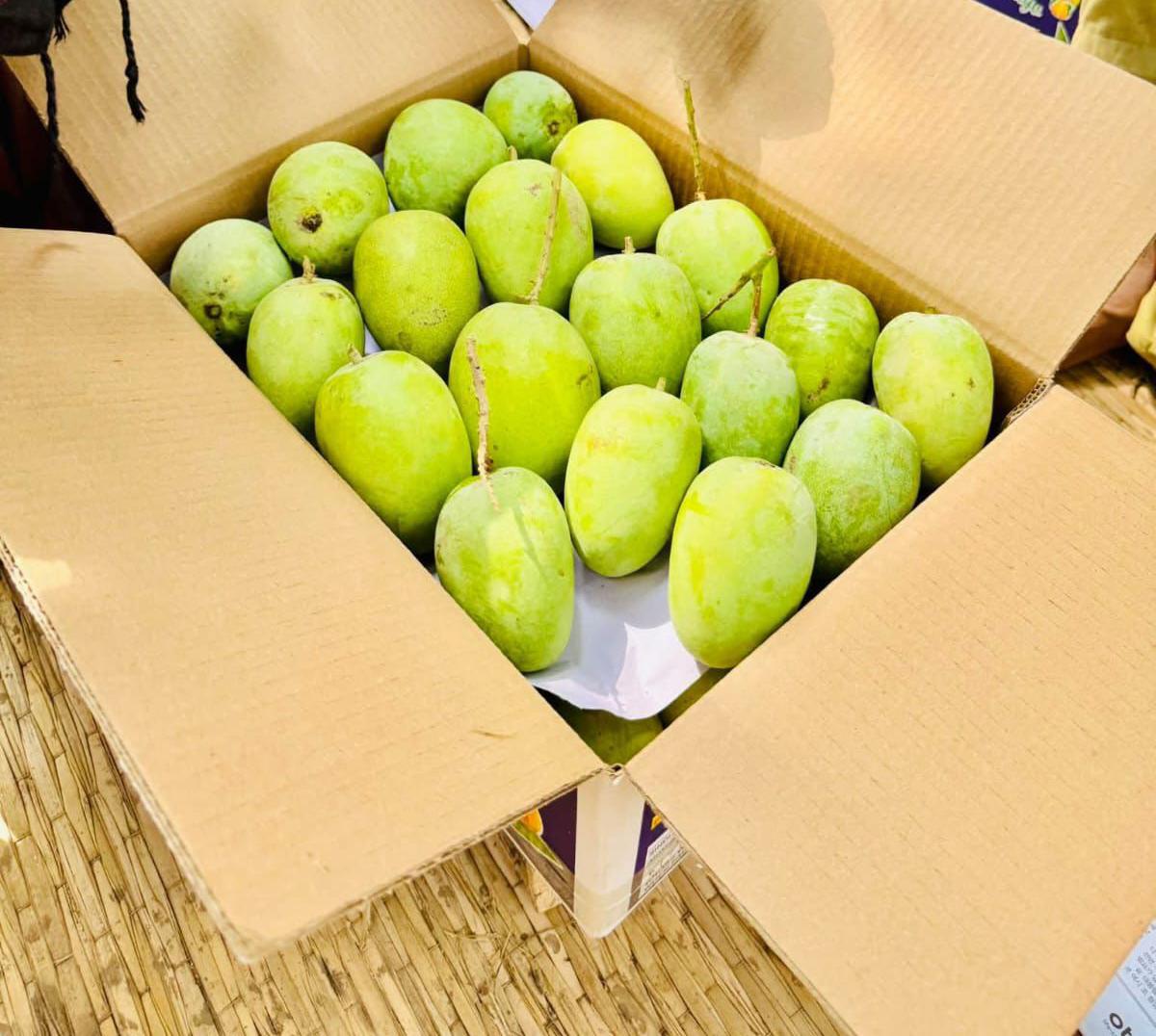 Aseel Anwar Ratool mangoes — export-quality Anwar Ratool from Thaheem Fruit Farms, Multan